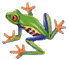 Frosch